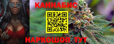 скорость Новозыбков