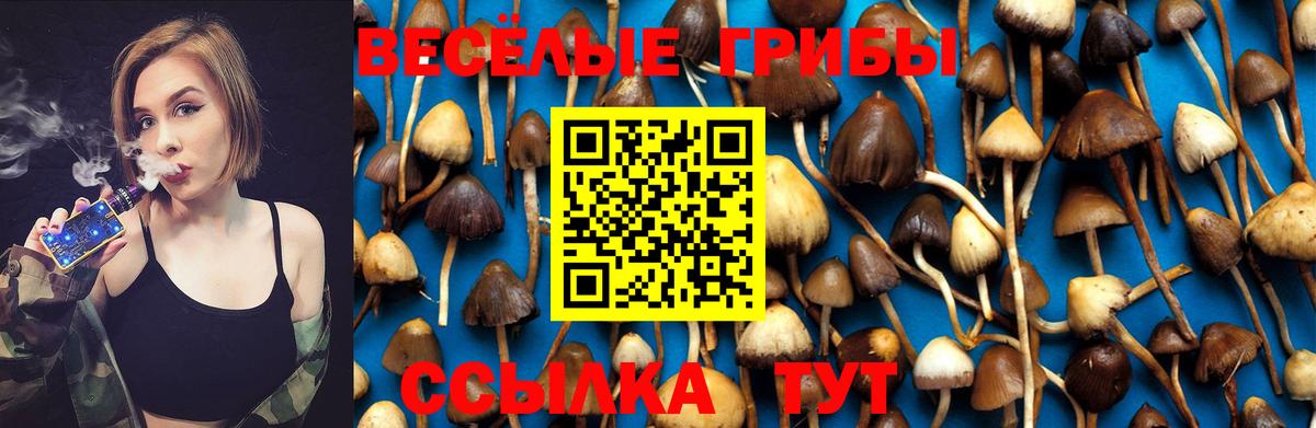 Галлюциногенные грибы Cubensis  Вход с VPN  Уварово 